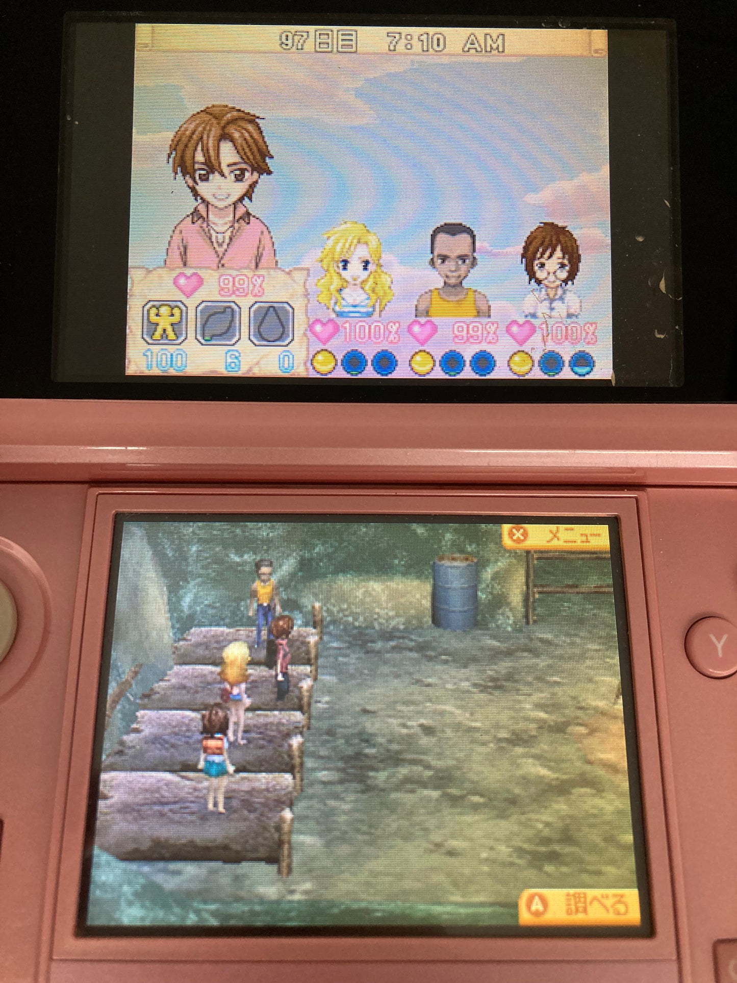 ニンテンドー DS ゲームソフト サバイバルキッズ 小さな島の大きな秘密!? 1204-409