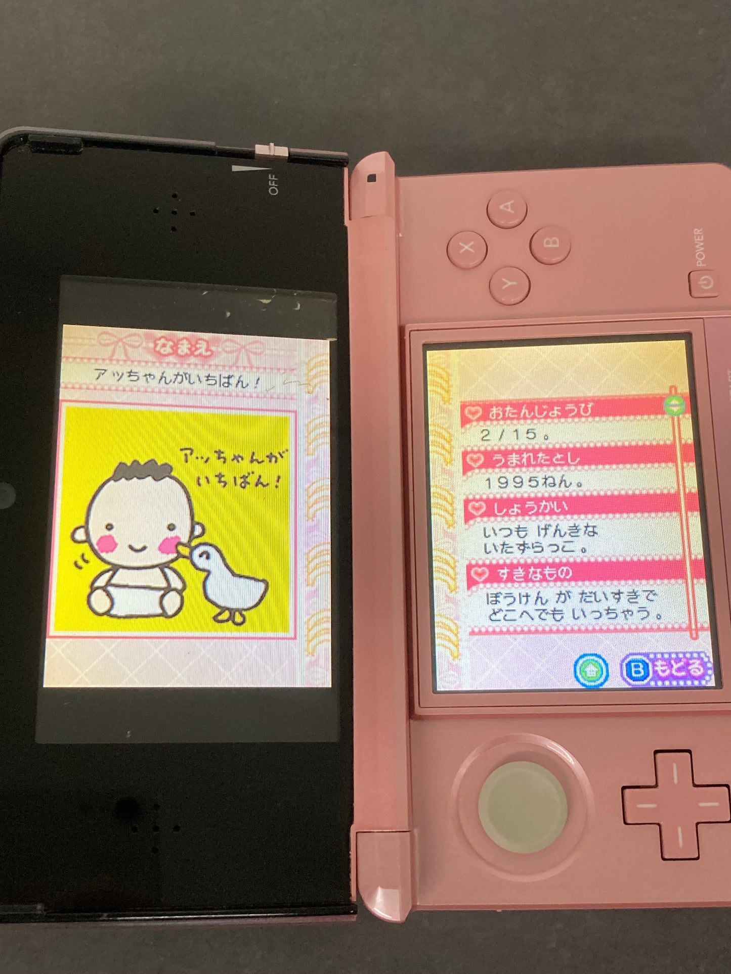 ニンテンドー DS ゲームソフト サンリオキャラクターずかんDS 1204-414