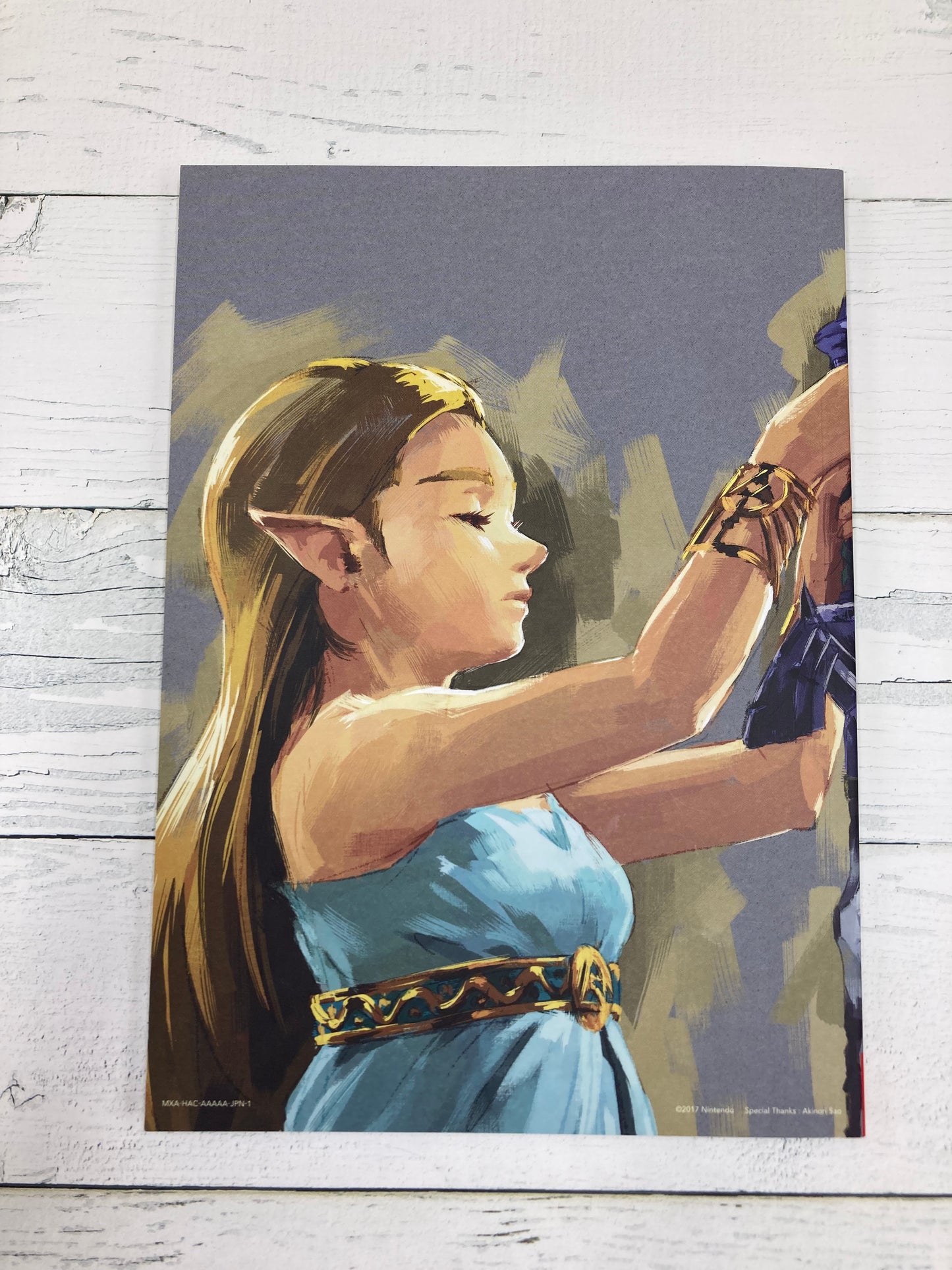 Nintendo Switch ゼルダの伝説 ブレスオブザワイルド 冒険ガイドブック パッケージ 2点セット 0106-501