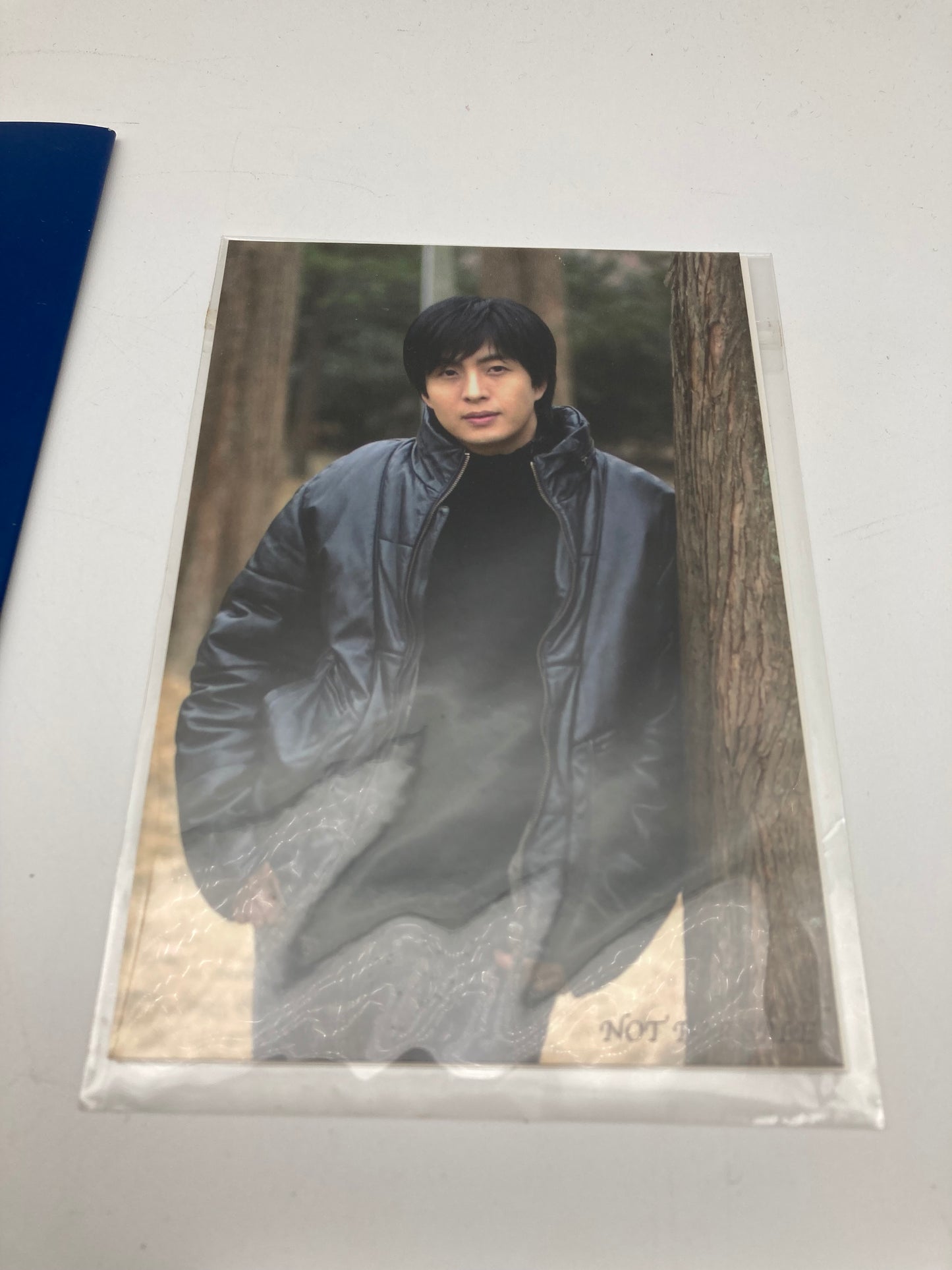 Nintendo ニンテンドー DS ゲームソフト 冬ののソナタ 1027-402