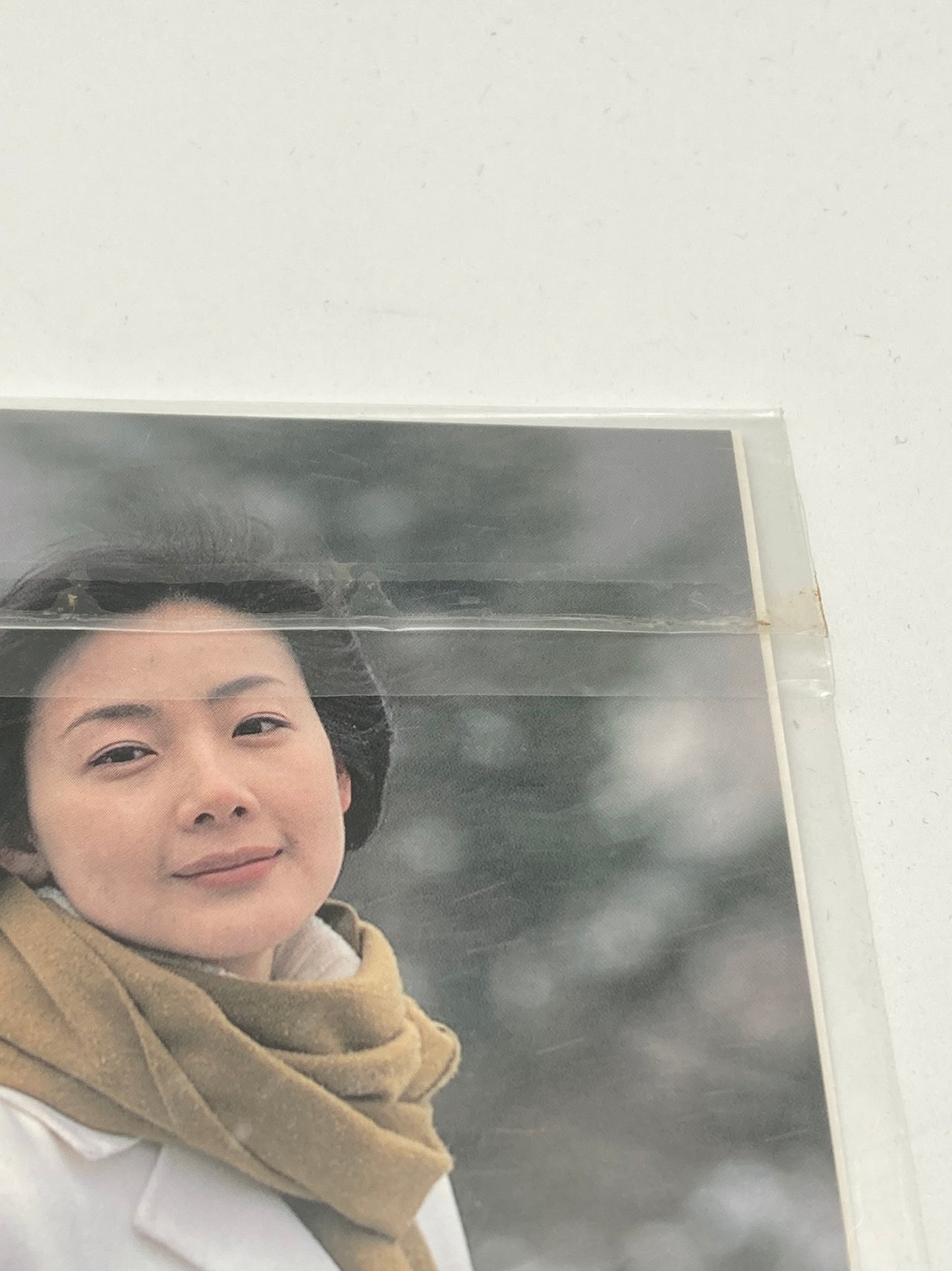 Nintendo ニンテンドー DS ゲームソフト 冬ののソナタ 1027-402